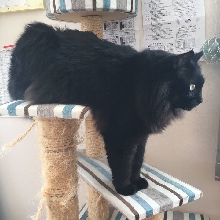 Fd8238f9 e53d 49f7 811d 3b10294dd743 1549852375145