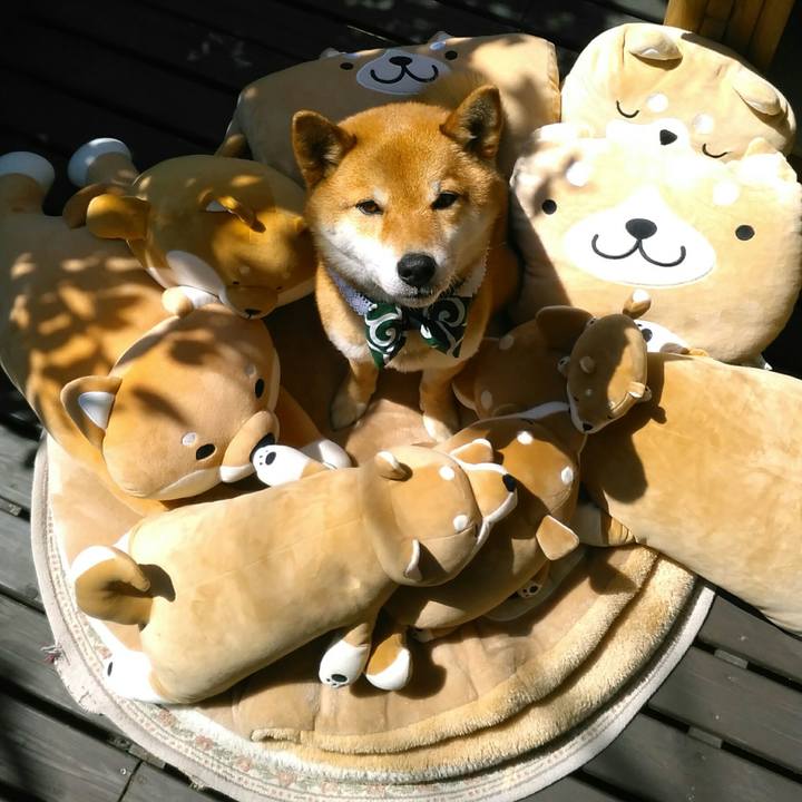 Fd826114 0f2b 4ffe 95cb 885ee372a9b4 1523240005614