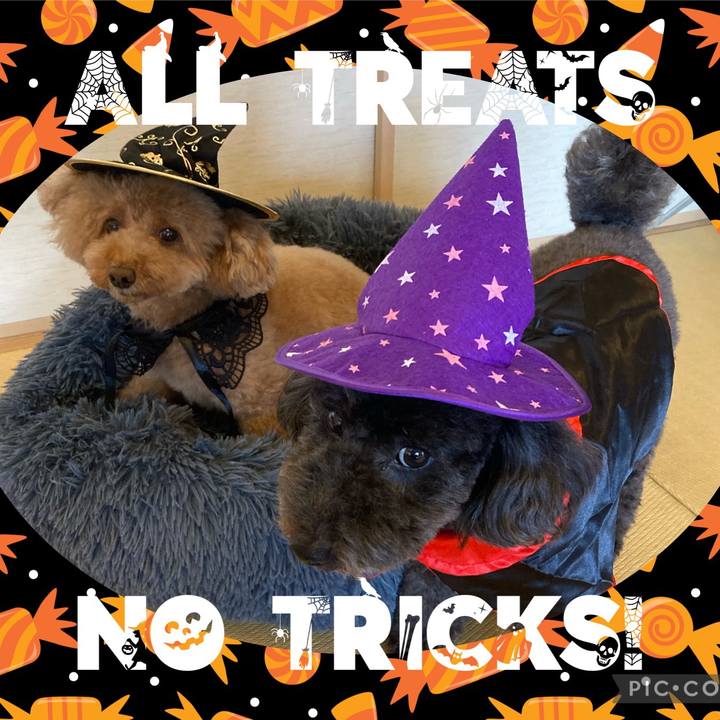 Fd829902 a0a3 4823 81c9 54570bc454fe 1635644264049