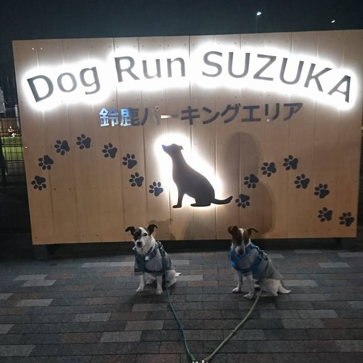 Fd829d44 d457 4b1e b938 13b66064c5c2 1605689005533