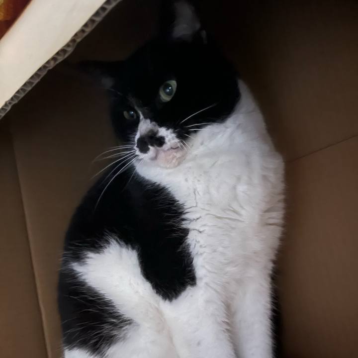 Fd82b229 71e7 49cc 8557 192e53009fe3 1708301426193