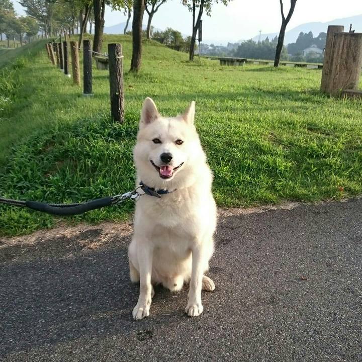 Fd82d1db a544 4263 97c8 ef4f2c0e8139 1567806876462