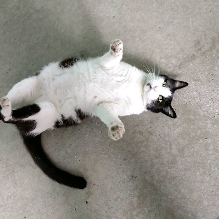 Fd82dee8 67ab 493a 87b0 e322f2647f19 1593732176365