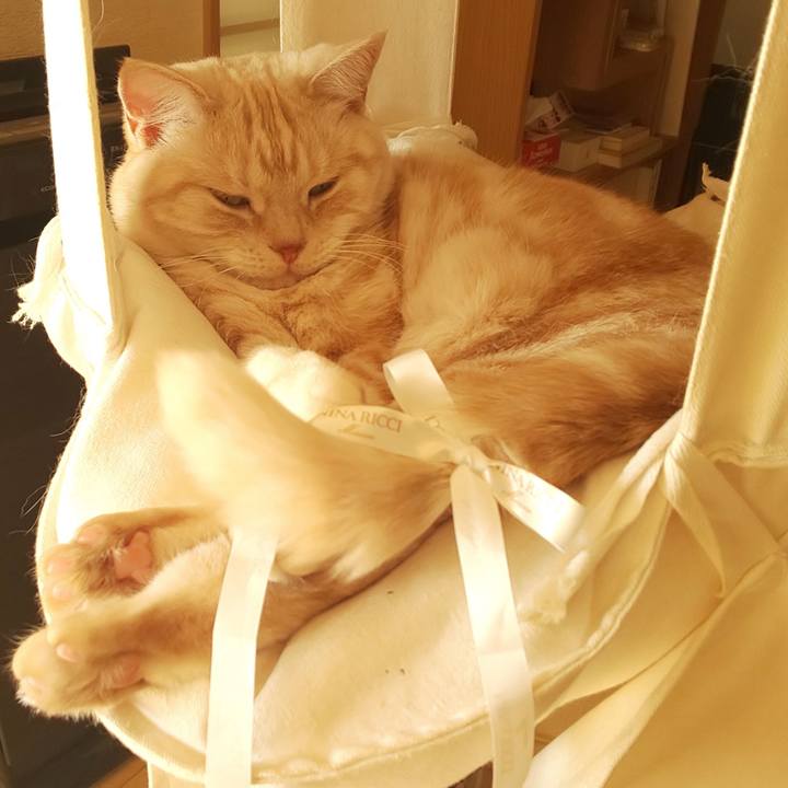 Fd82e18c 484f 4665 96a7 2e50180bb447 1543375938505