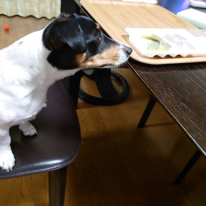 Fd83107b 3e48 44cf aa49 759032c8d6d2 1701860680908