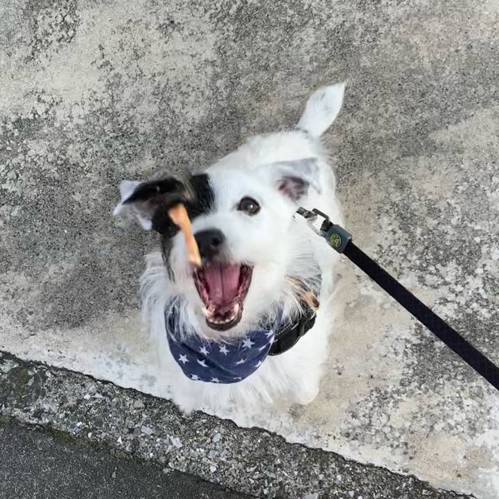 Fd831ff7 4d0b 44bd 9785 a8f9976c6af9 1659862717772