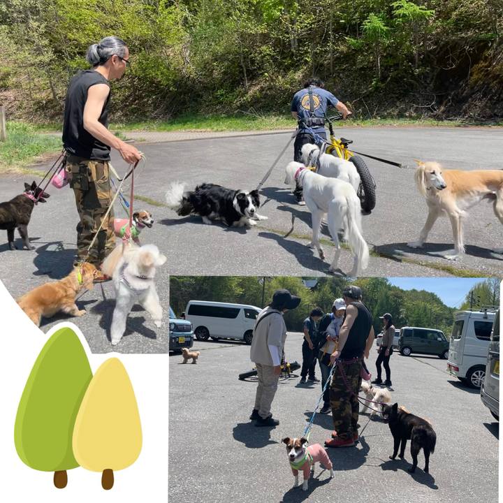 Fd833409 4fbe 4338 852c 7dfe13b1ea6b 1747127418221