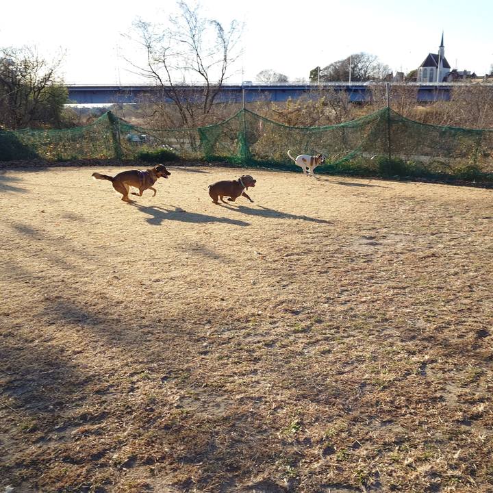 Fd83380f a5c5 45fb 8922 7825d61d5657 1735347094432