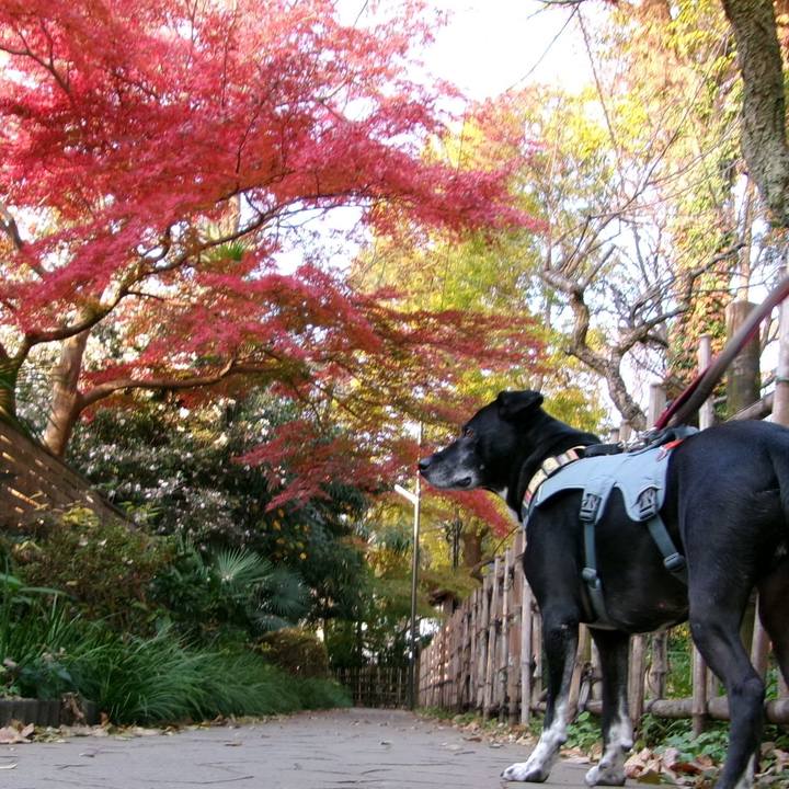 Fd83386e 2acb 4f2a 8383 fae7361cead6 1733358155841