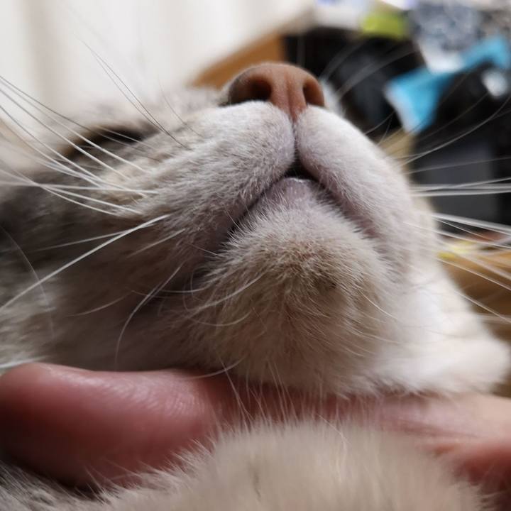 Fd8360b6 16fc 4713 b7a9 6ea17a9d5f6a 1557755103262