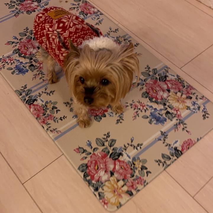 Fd83a0aa 4c3d 4af2 b66e fffd2c103b16 1671848293521