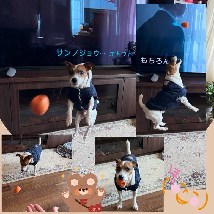 Fd83bcdd b3fa 4be5 b2e0 a1bde37e1d07 1768029217108