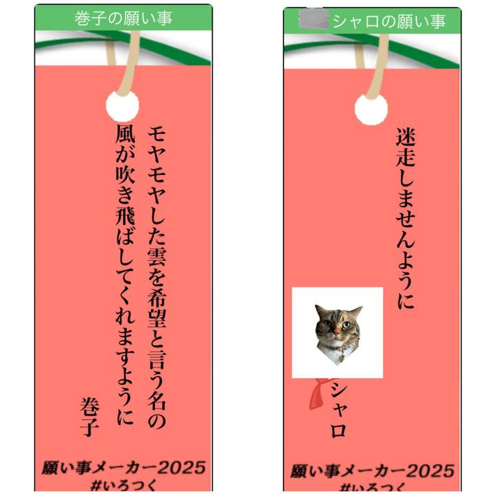 Fd83d39d 17ed 4cf2 abac 1c5023378db3 1751875388019