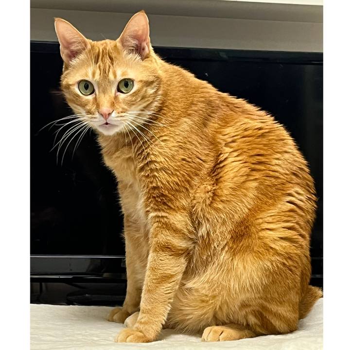 Fd83f0fe 7f4a 4735 9d58 d0a0f0877f93 1640823237525