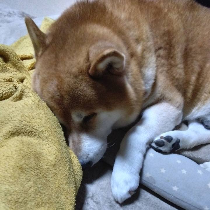 Fd83f86c ed39 4a71 86fd 710785067aa4 1700263903936