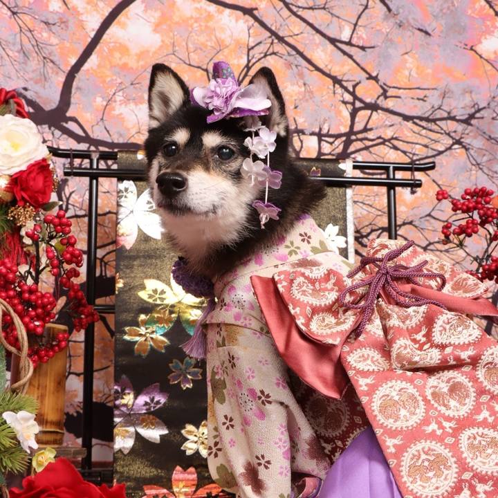 Fd840e37 20fc 43a2 8b7c e62a256bcf4f 1704870278769