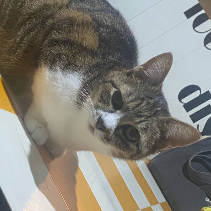 Fd841eb8 108f 448b 8d3d 61beebed06bc 1718117478407