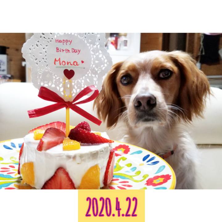 Fd84323e c0c0 4e7c bc11 b327a0250cbe 1587556063700