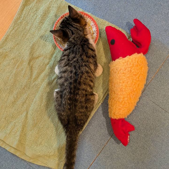 Fd843a88 d979 4566 b7ab cf3cf5d2c770 1719206987783