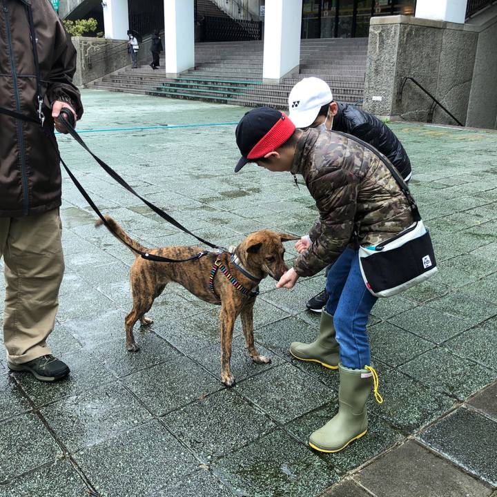 Fd845dcf 52f5 4d22 8673 f554a00639b2 1585554724523