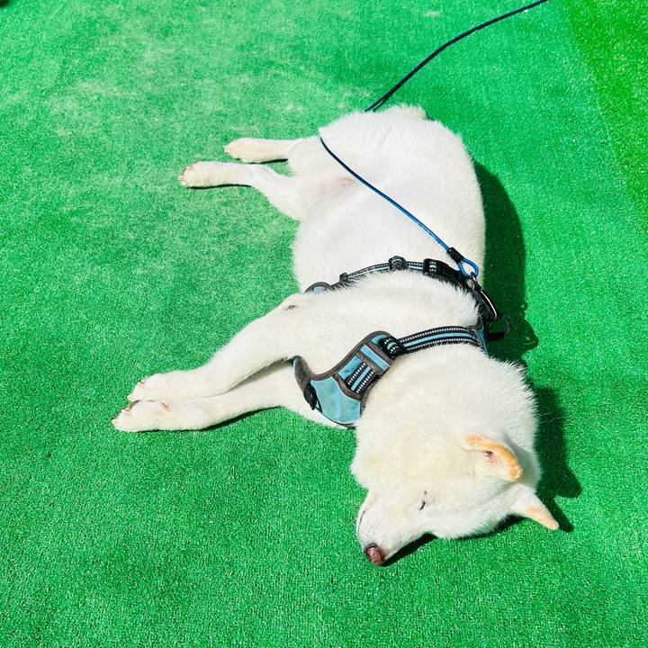 Fd846aa2 d6f1 475f 8677 333f9ca51148 1757712441942