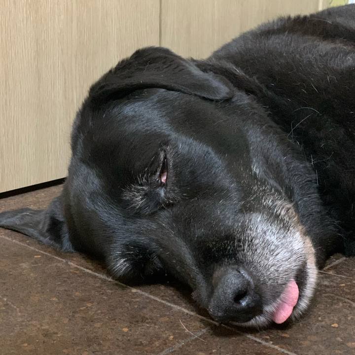 Fd84ad67 51ce 4249 b8e2 5f15e315d32f 1597894043789