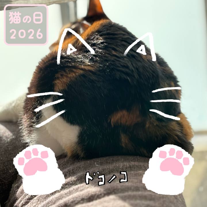 Fd84b269 b92b 4277 a0e6 834edf1397b2 1771717731182