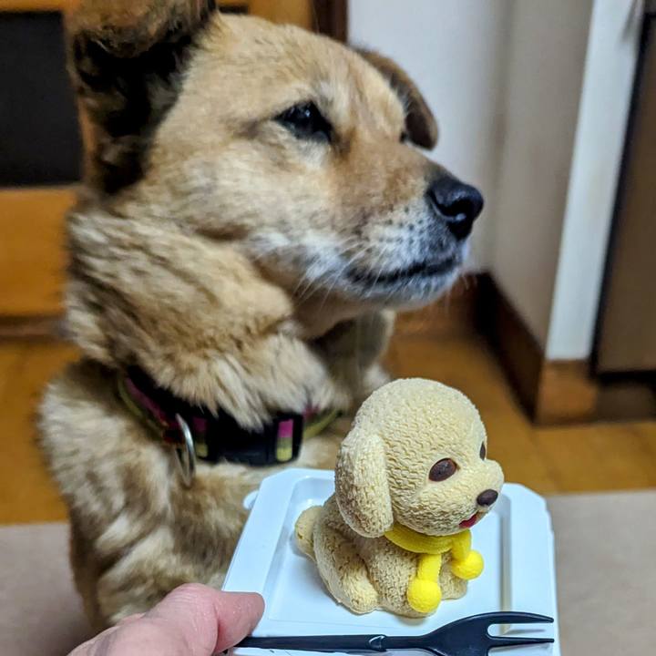 Fd84de0d eed2 429d 93ed d830c82a5fb1 1711634651886