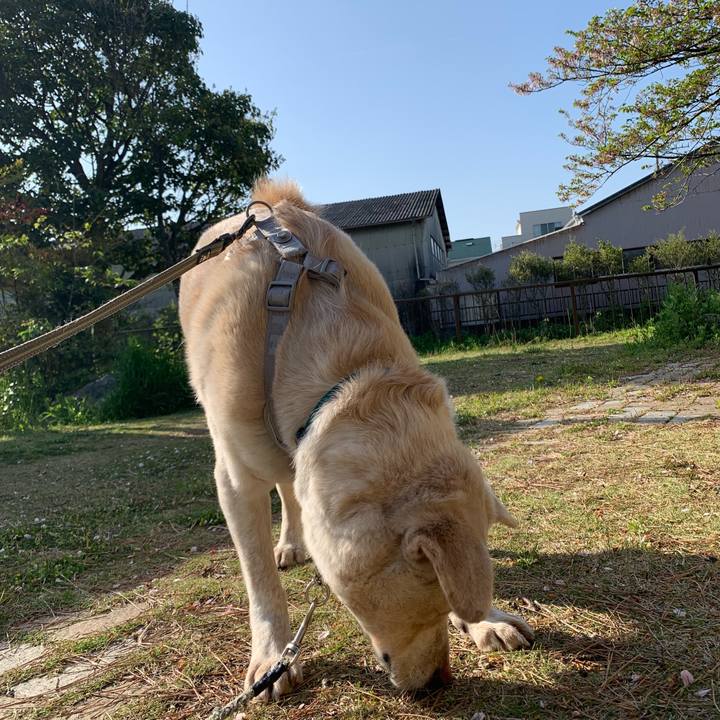 Fd850dee 396b 41c6 abd7 ab2951886919 1555748750407