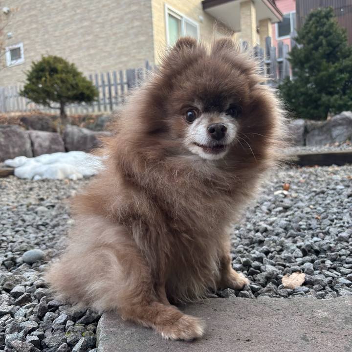 Fd851511 c0e0 43e4 b49c dffd8f058dcd 1774219453683