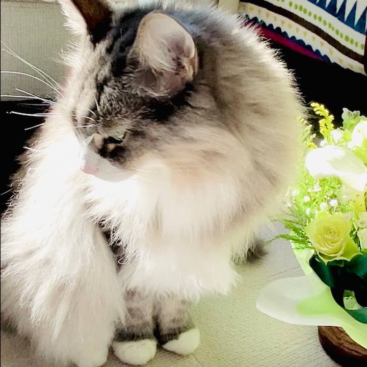 Fd8573a0 649a 4640 ae5a aeb3441db1ee 1669343849641