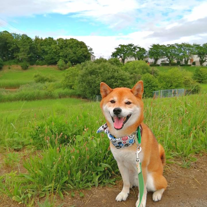 Fd85856e 08ad 42e8 9d43 c4d4fd7b41e9 1657091848018