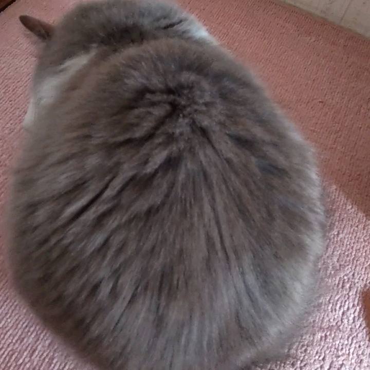 Fd8585d5 e66c 4162 b117 912c0ed2595f 1742729752454