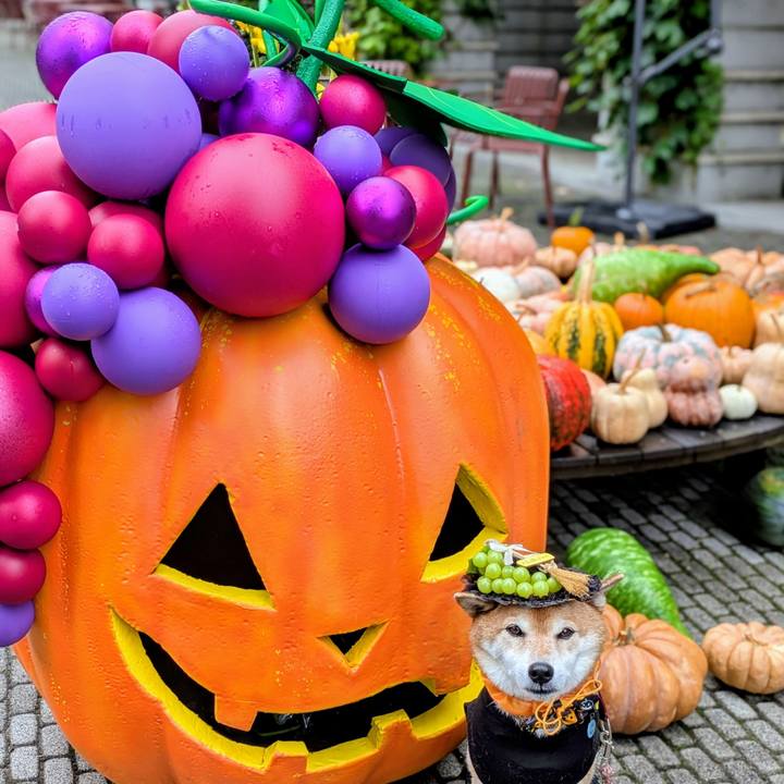 Fd8588f4 a07d 460c bca8 51d9a10271f2 1759720155498