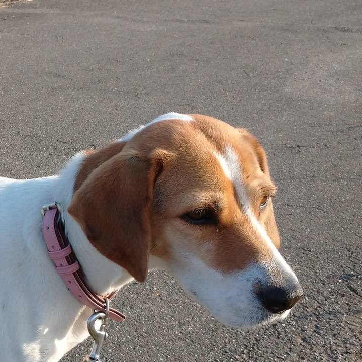 Fd85942c 42ba 4aaa b81c 7135a261bba2 1577265025951