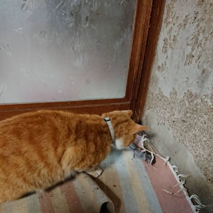 Fd8645ac 92b7 4d3b 8f5b 17adde42c264 1589144959248