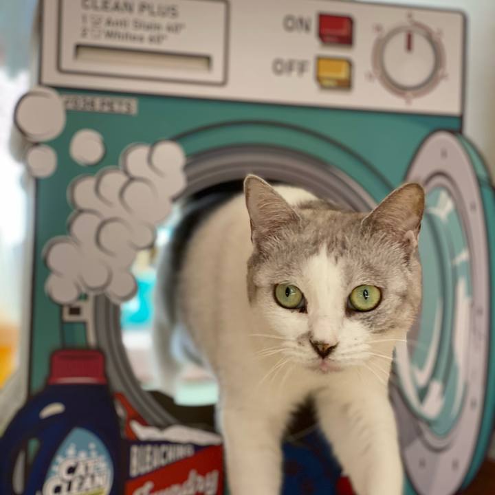 Fd865ff9 30d2 43c6 9cb1 cfb8bf588798 1611021473014