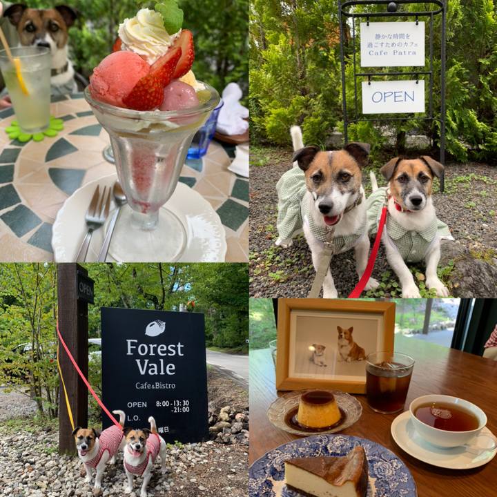 Fd867752 fcd0 4617 a01f c613c5e5fc18 1661343914603