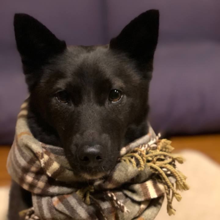 Fd868f70 fbce 48bc ae42 525bf39576fb 1552473719770