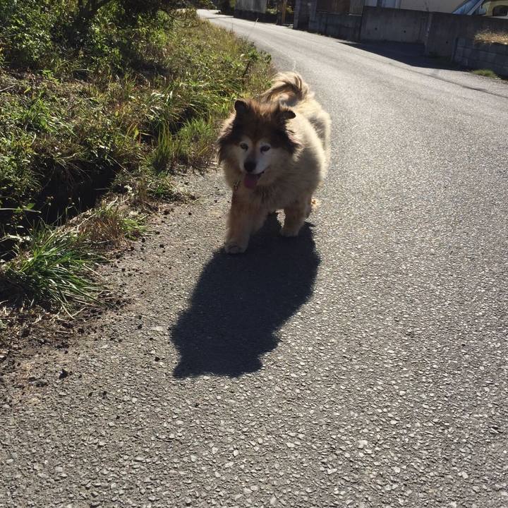 Fd86977f 4211 48be 920b f50095052fef 1583295017189