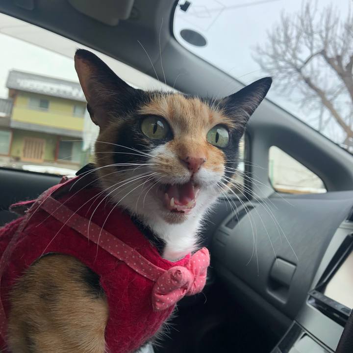 Fd86a849 75a8 400a 8149 81f359f8e108 1611668795966