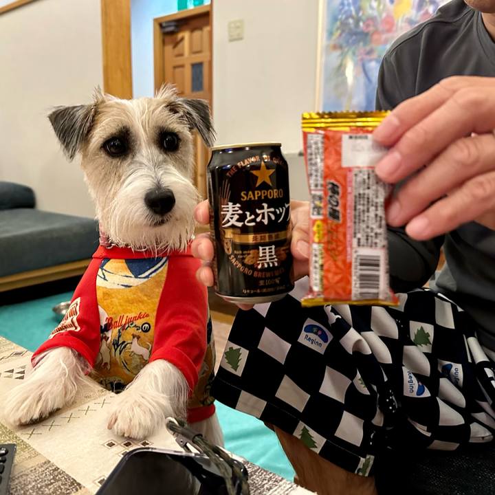 Fd86e962 3107 4333 a27c 6864d7310f5d 1697467577771