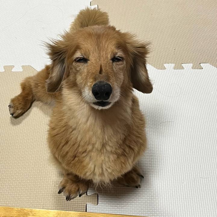 Fd86f3e1 c881 4b35 93eb 56f9bf28c4c7 1652358236060