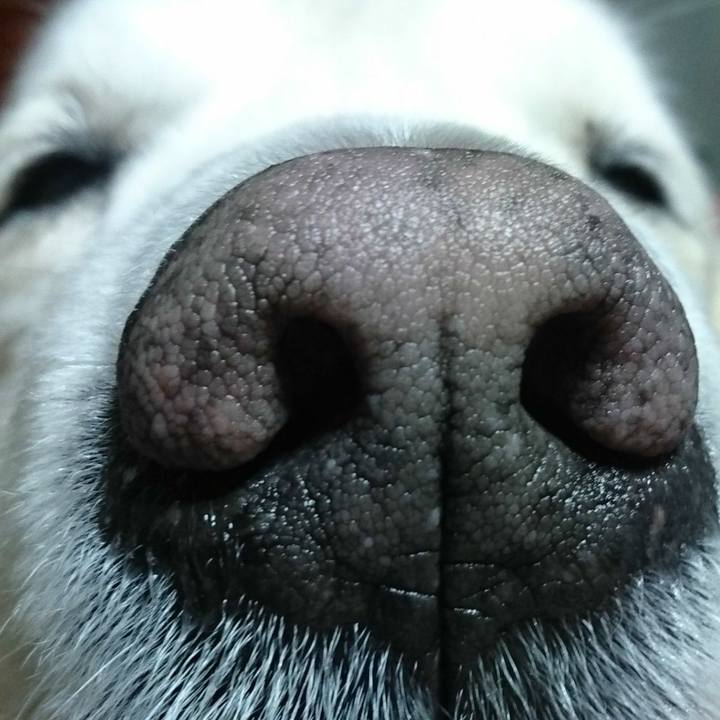 Fd870ce0 f3ce 43ab b92b 041b9147e986 1523446139780