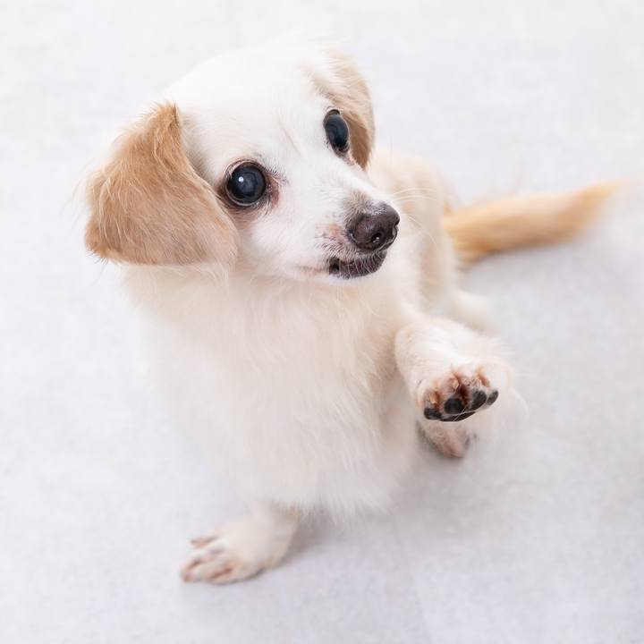 Fd87771b cc5b 4e59 91d2 a95d062764a1 1695859764840