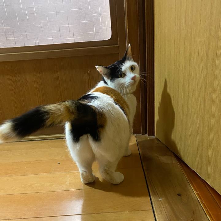 Fd878144 3b23 43ed a72e 3228dae35088 1643753206875