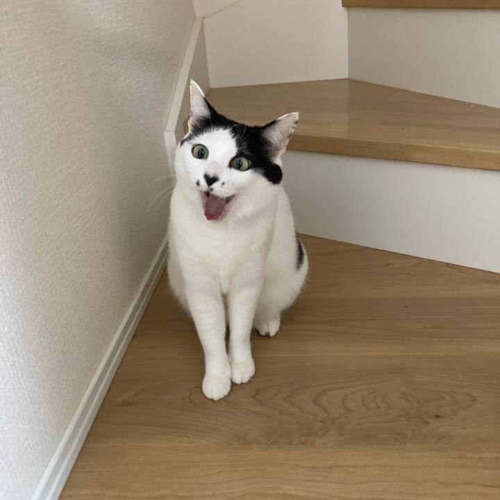 Fd87874c b90e 4e35 84f3 5f7d407d82dd 1767388802592