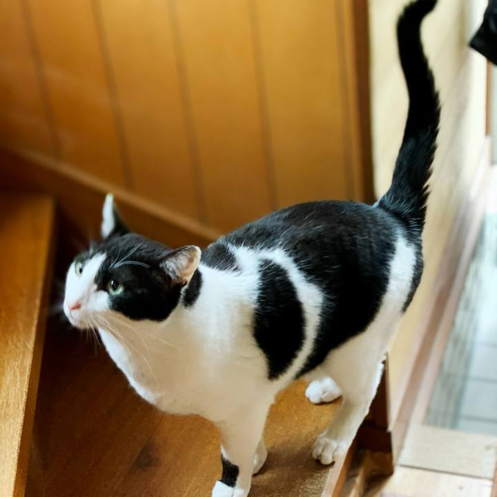 Fd8787d1 3857 4be1 ac41 e9028435c442 1595471093729