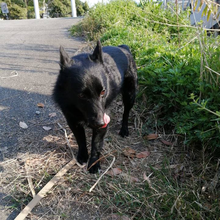 Fd880dc2 6e3e 4831 8383 f454eeeb7af9 1585954392177