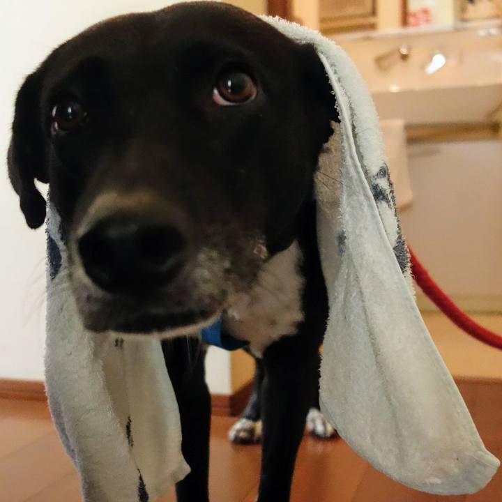 Fd88379f a62b 4b88 9dc7 a77522accd7b 1634814350820